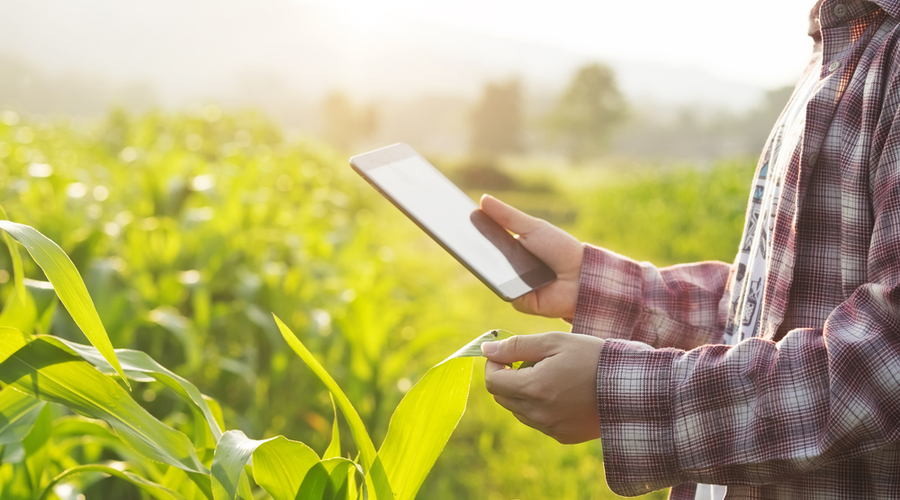asesoria_agricola